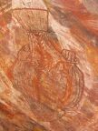 Ubirr Rock Fish.JPG (78 KB)